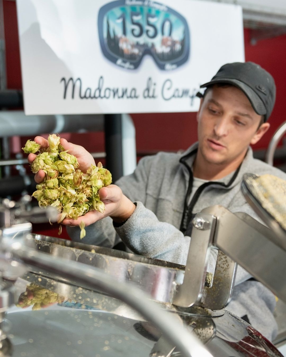 persona con luppolo tra le mani